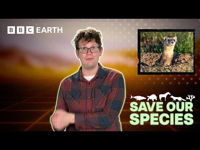 Can Cloning Animals Stop Extinction? | Save Our Species with Hank Green | BBC Earth Science