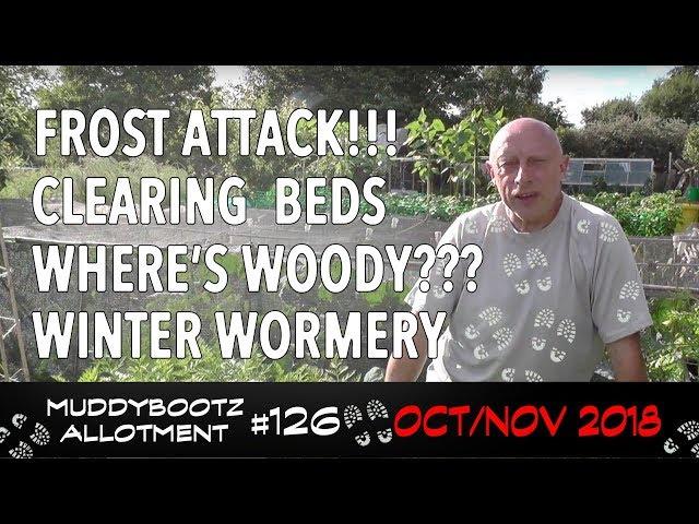 MuddyBootz Allotment #126 - Frost Attack - Bed Clearing - Where's Woody? - Winter Wormery