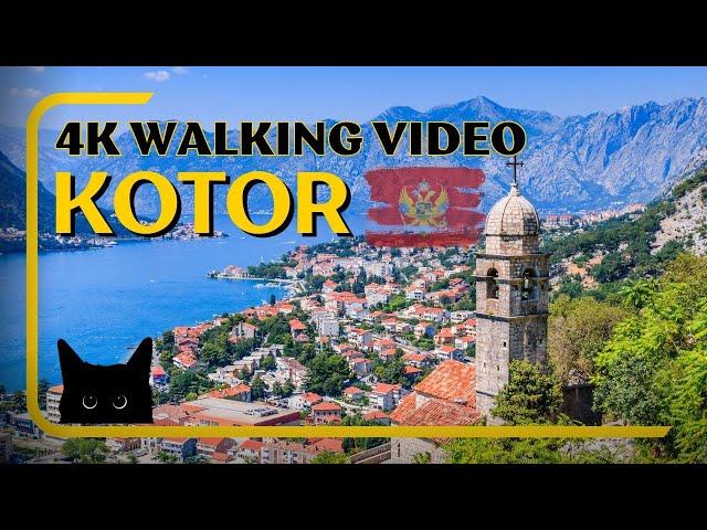 Kotor, Montenegro  - 4K Virtual Walking Tour