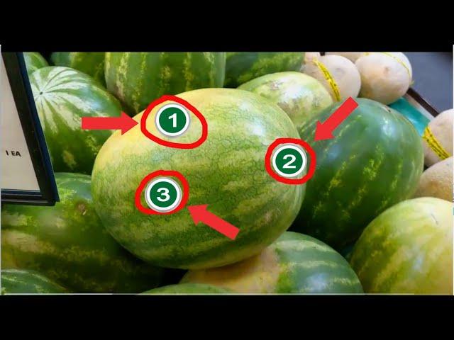 How to pick a sweet and juicy watermelon | 3 things to look for | How to cut watermelon into cubes