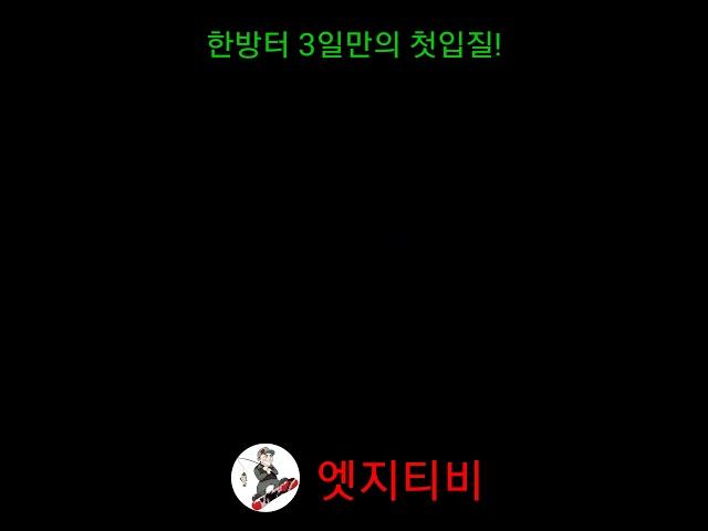 한방터 3일만의 첫입질! 그러나~4호 원줄이 나갔다 @#shorts