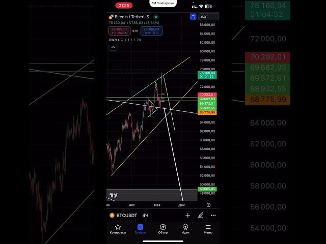 ТЕХ АНАЛИЗ #BTC ЗА 1 МИН 06.11.2024 #инвестиции #btc2024 #биткоин2024 #акции #btcпрогноз #bitcoin