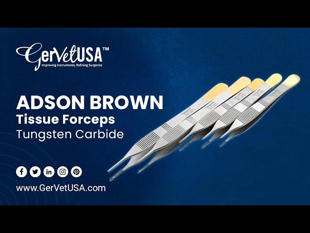 Adson Brown Tissue Forceps Tungsten Carbide | Veterinary Forceps | GerVetUSA