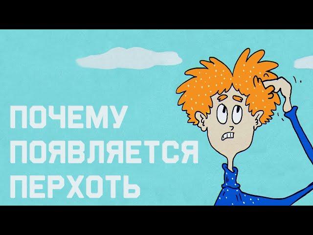 Edu: Почему появляется перхоть и как от неё избавиться