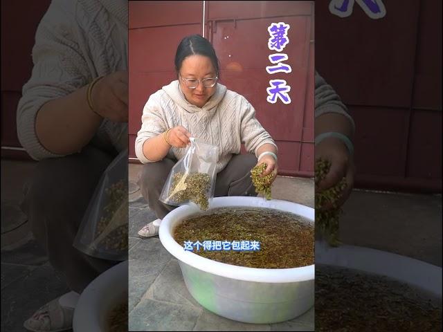 把春天吃进肚子里，春天的味道，大花猫知道。