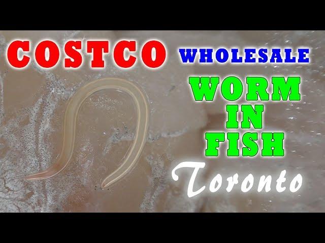 ЧЕРВЬ в рыбе Магазин COSTCO | Жизнь в Канаде by Étoile Tube CANADA