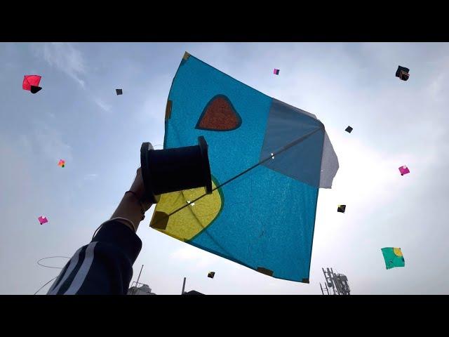 patang catch *patang* kite flying on Sunday