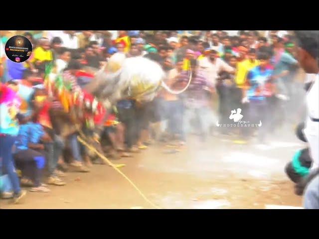 Giddampatti Eruthukattu mass // Krishnagiri Jallikattu Lover // Krishnagiri Eruthukattu Jallikattu..