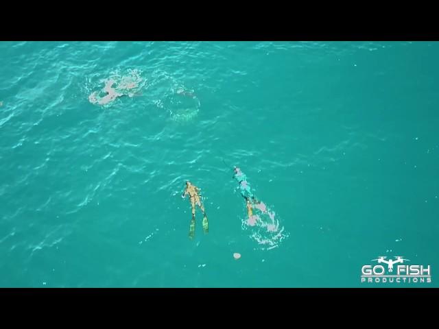 Drone Footage of Bull Shark attack on Spearfishing Team | Mavic Pro