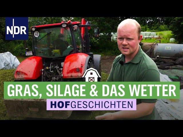 Vorsicht bei der Silage vor feuchtem Gras und Sandklumpen | Hofgeschichten: Leben auf dem Land (285)