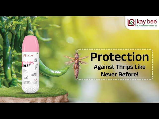 Thrips Raze |  Botanical- based Insecticide for Effective Thrips Control | Kay Bee Bio-Organics