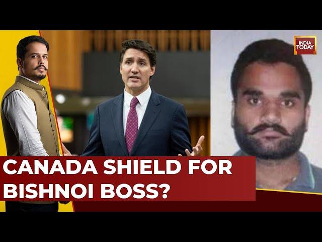 Canada Removes Goldy Brar From Wanted List, How Desperate is Justin Trudeau? | India-Canada Row