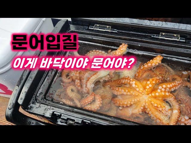 바닥과 문어 헷갈리는 당신.. 이 영상을 보시라.