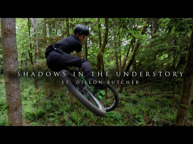 Shadows in the Understory  - Ft. Dillon Butcher