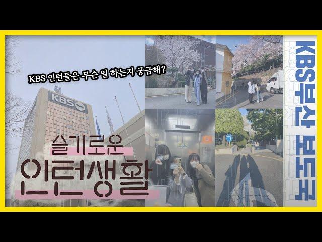 슬기로운 KBS인턴생활  KBS부산 보도국 인턴들이 뭐하는지 궁금해? 비하인드 스토리 가득 