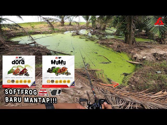 MANCING HARUAN GUNA SOFT FROG BARU EXP TERNYATA BERHASIL!!!!