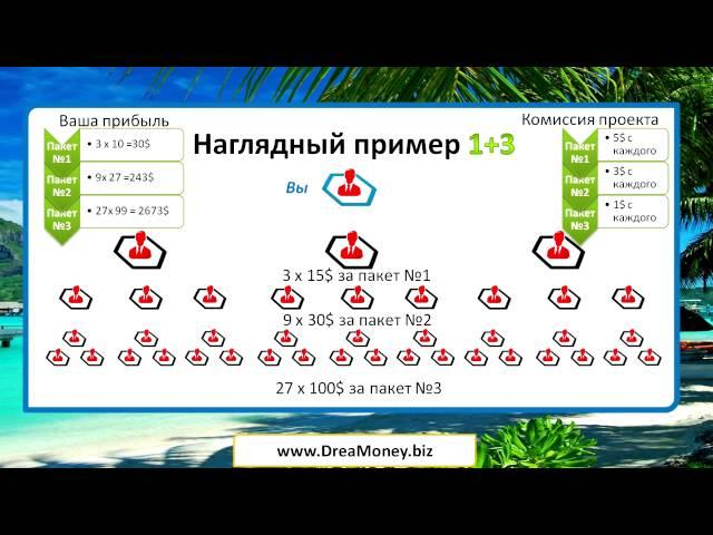 Презентация Dreamoney подробный маркетинг