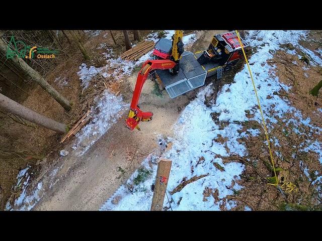 Bergabseilung im Kursbetrieb_Forstliche Ausbilungsstätte Ossiach des BFW