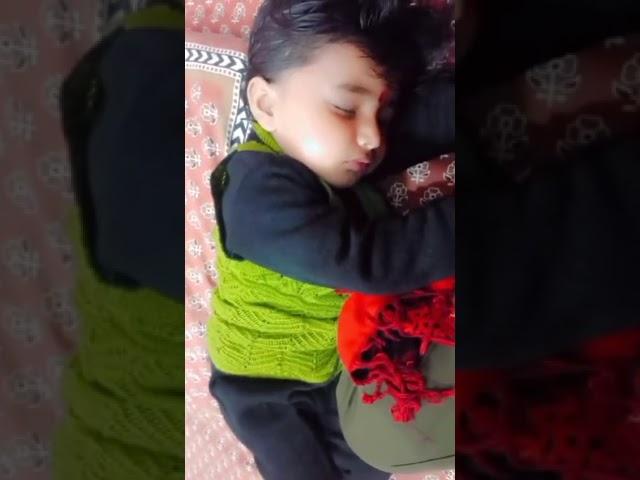 Mishka is sleeping ️️#sleeping#sleepmusic