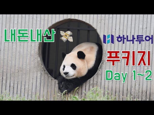 [4K] 임산부의 하나투어 푸키지 후기 DAY 1&2 / 하나투어 / 푸바오 / 선수핑기지