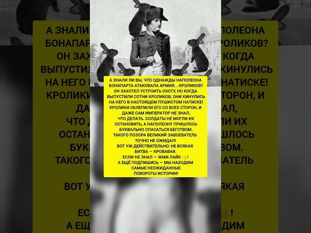Наполеона атаковали... КРОЛИКИ?! Никто не ожидал ТАКОГО позора великого завоевателя! #история
