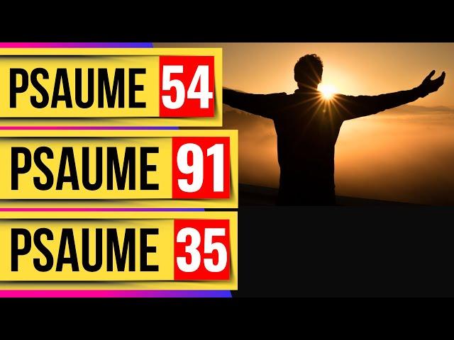 Psaumes pour dormir: Psaume 54, Psaume 91, Psaume 35 (Les Psaumes Puissants)(Versets Bibliques)