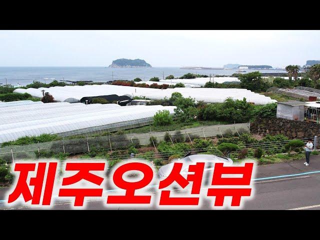 제주도 서귀포 바다가 시원하게 보여요 L-366 가슴이 뻥 뚫리는 이곳을 소유해 보세요