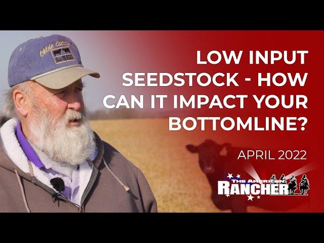 Low Input Seedstock - How Can It Impact Your Bottomline? | The American Rancher