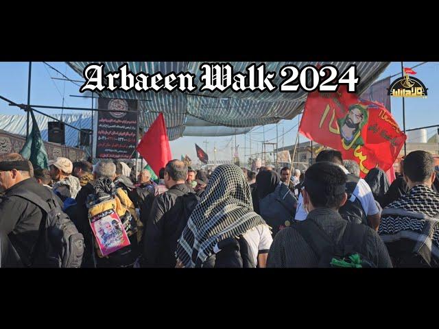 Arbaeen 2024 | Arbaeen Walk 2024 | Walk Najaf To Karbala | Mashi 2024 | Karbala 2024 | Safar E Ishq