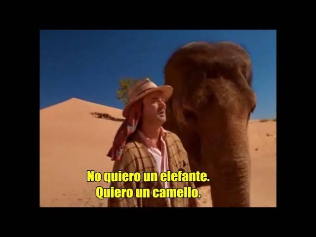 Mas grande que la vida , parte 2 ..... Porque todos , alguna vez , quisimos tener un elefante .