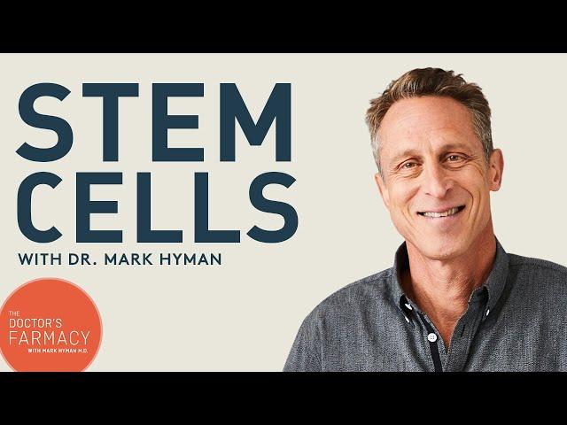 How Do Stem Cells Heal?