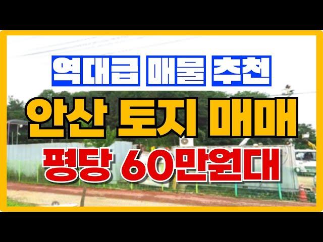 안산 토지매매 역대급 매물 추천! 평당 60만원대 010-3391-6663