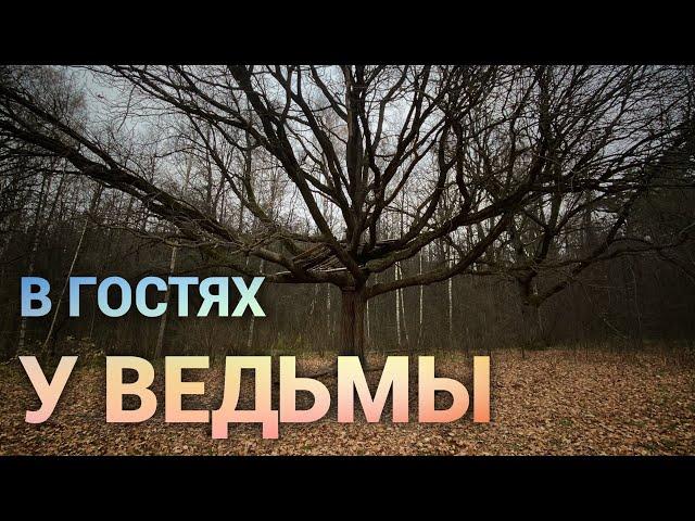 В гостях у ведьмы. Просто дневник Константиновой.