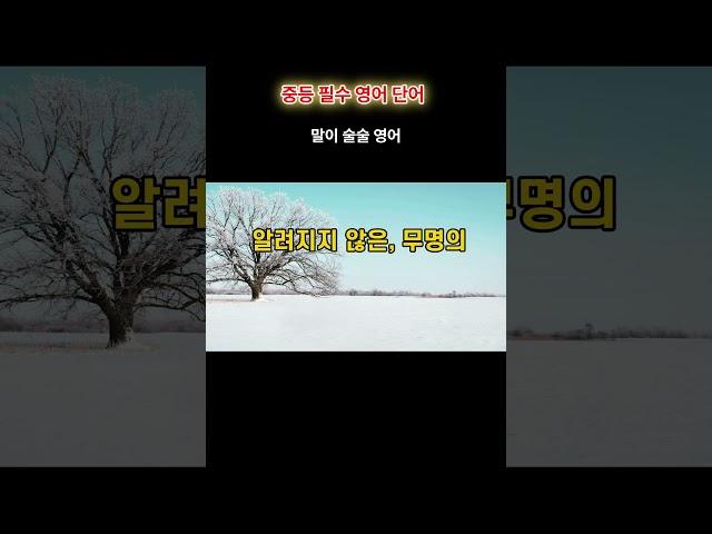 중등 필수 영어단어로 영어의 기초를 쌓자, 기초영어회화  ,초보영어,쉬운 영어회화, 생활영어회화, 말이 술술 영어,