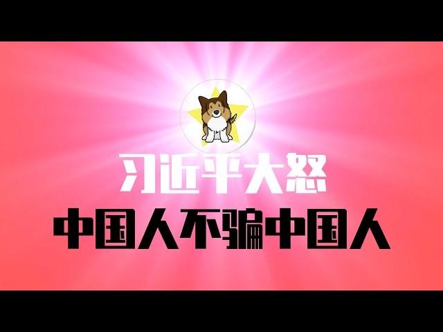 关键指标崩塌，中国政府救经济成笑话！习近平大怒，下令处理敢言经济学家？中国官府开始打「俄罗斯商品馆」，这是什么意思？