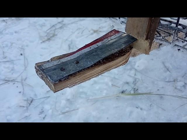 Как сделать ловушку на енотовидную собаку, лису, куницу , норку