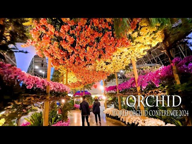 【4K Orchid 】 World Orchid Conference 2024 in Taiwan, #世界蘭花會議 Taiwan International Orchid Exhibition