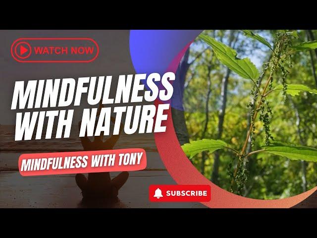 Mindfulness With Nature