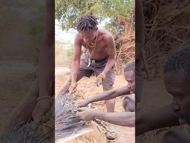 Hunters are carefully removing the porcupine spines #hadzabe #wildlife #shortsvideo