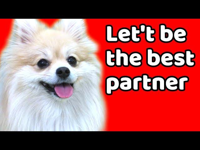 How to Build Better Relationship with Dog|Good Relationship Based Easy Puppy Training|DogTraining101