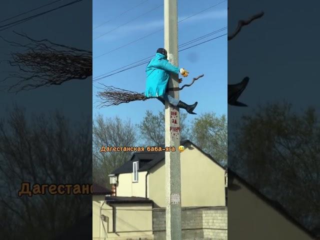 #юмор