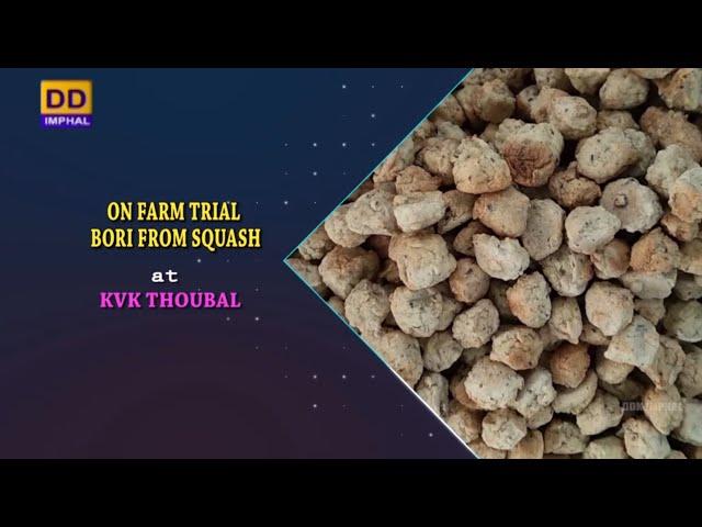 Agriculture Programme | On Farm Trial Bori From Squash at KVK Thoubal & Farm Mechanization