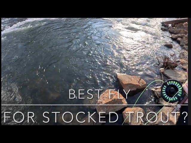 Fly Fishing for Rainbow Trout — Fly Fishing Homemade Flies