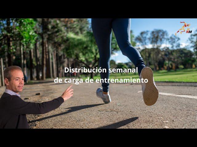 Distribución semanal de carga de entrenamiento