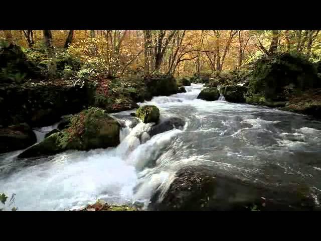 青森県　奥入瀬渓流　阿修羅の流れと紅葉