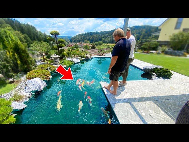 Amazing Fish Pond in the Swiss Alps (Pond Tour)