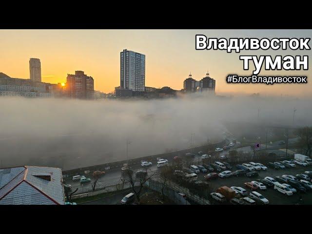 Утренний ноябрьский туман во Владивостоке 2024. #БлогВладивосток ищи в телеграмм и вк и рт и дзен