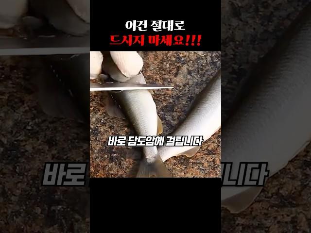 제발 이건 절대로 드시지 마세요