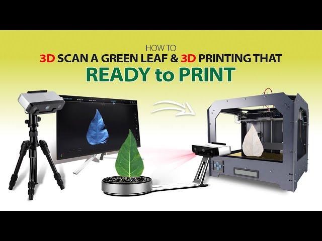 From Nature to Creation: 3D Scanning and Printing a Green Leaf