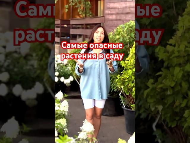 ‍️ Никогда не сажайте эти растения у себя в саду!
